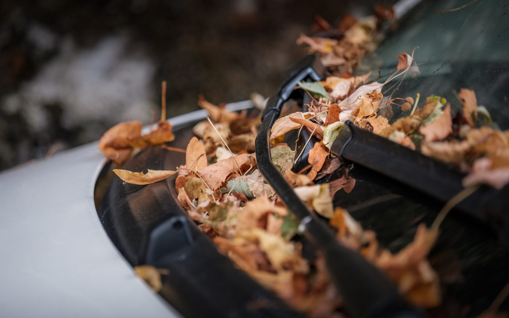 Fix Your Windshield Wipers During Fall