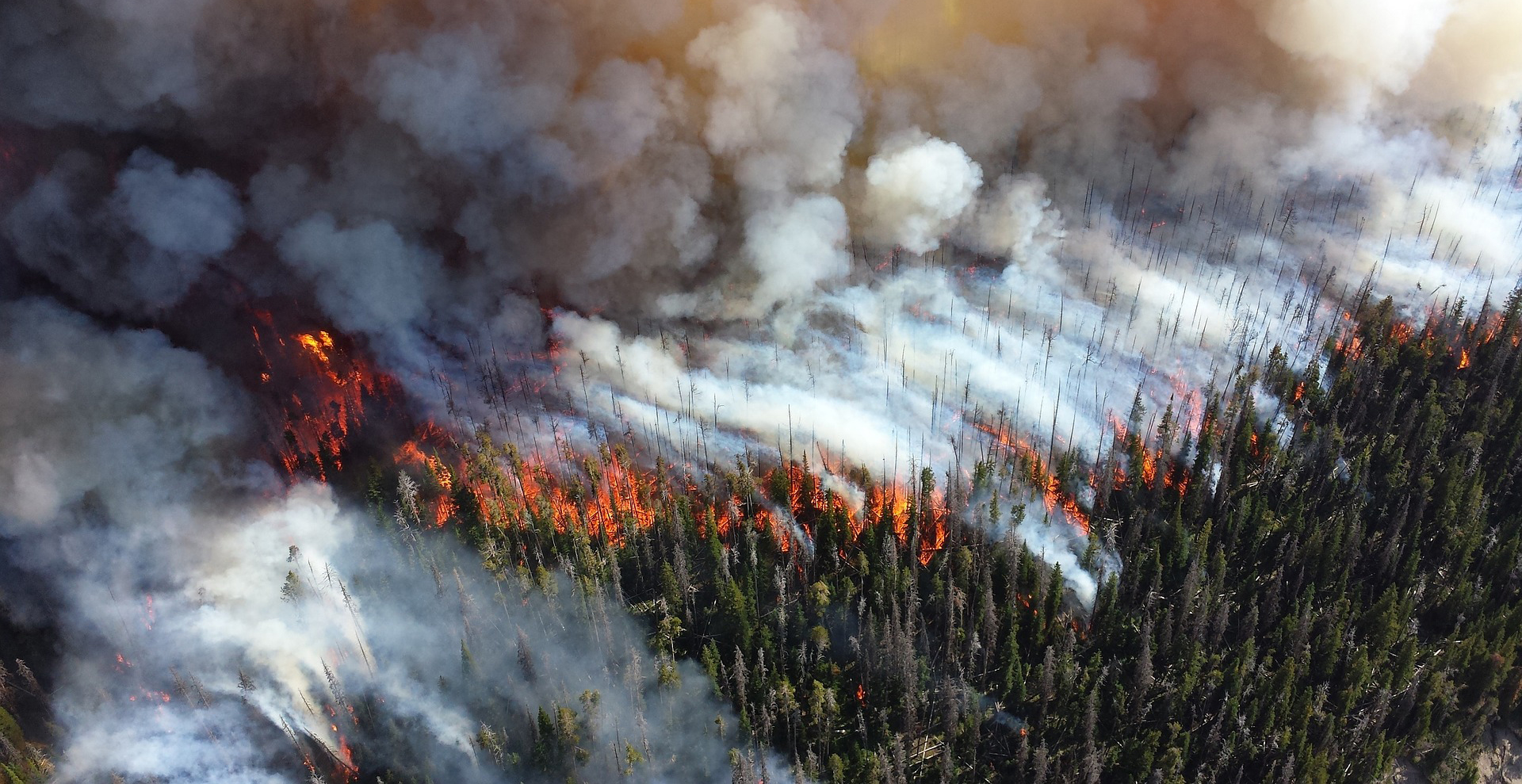 10 Ways to Reduce Wildfire-Related Risks as a Homeowner