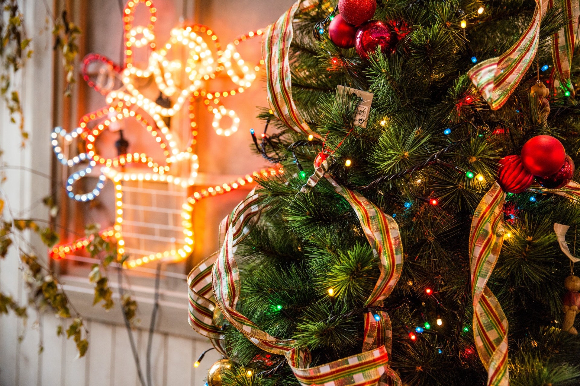 Christmas lights and tree