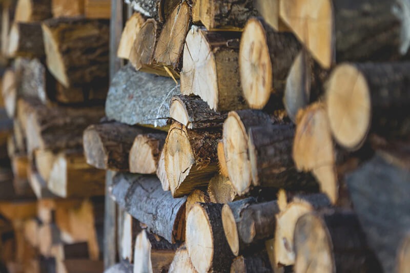 Stacks of cut wooden logs